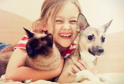 Kind mit Hund und Katze