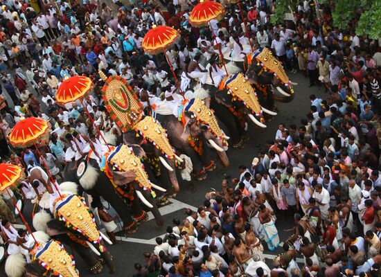Vogelperspektive auf das Elefantenfest in Indien, mit geschmückten und in der Menschenmenge laufenden Elefanten